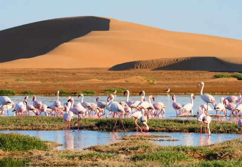 Walvis Bay