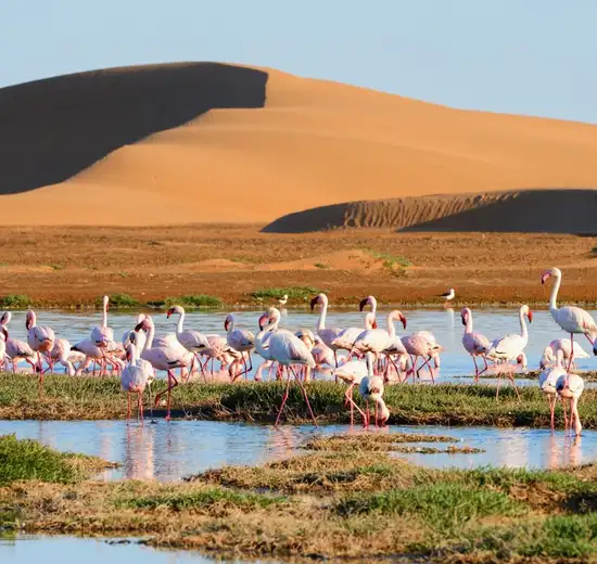 Image related to Walvis Bay - Overnight onboard
