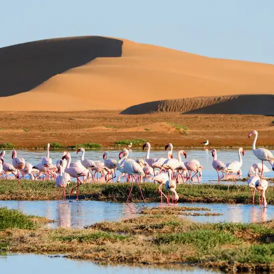 Image related to Walvis Bay - Overnight onboard