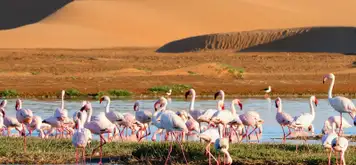 Image related to Walvis Bay