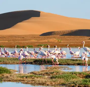 Image related to Walvis Bay