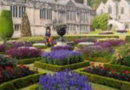 IgluCruise.Application.ViewModels.Shared.WebImageViewModel?.Description