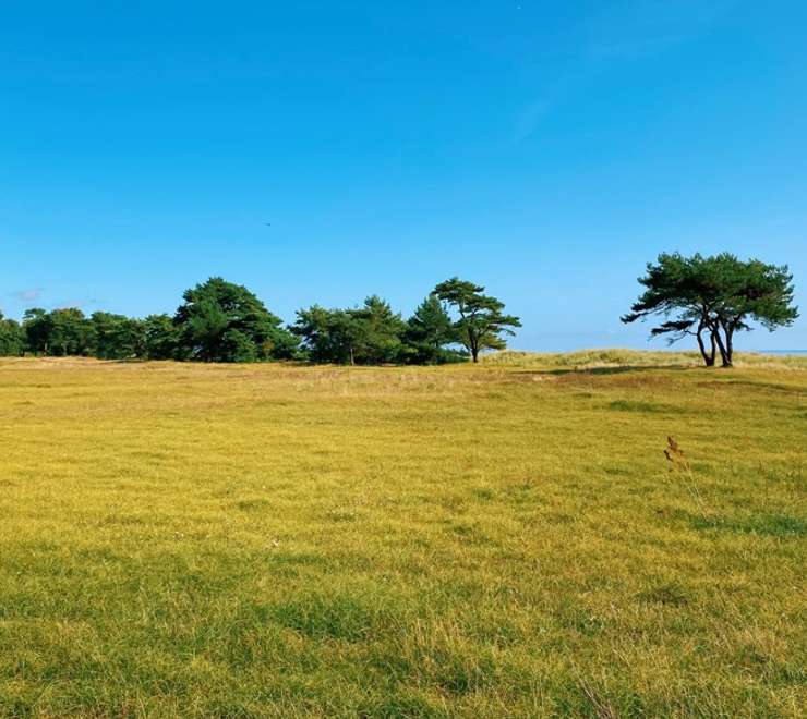 Trelleborg