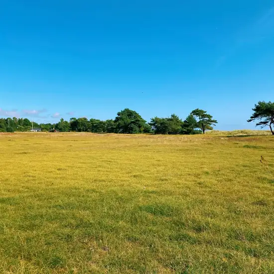 Image related to Trelleborg