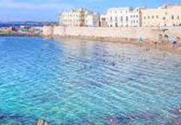 IgluCruise.Application.ViewModels.Shared.WebImageViewModel?.Description