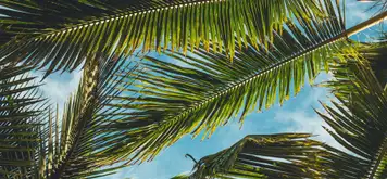 Image related to Nature Reserve