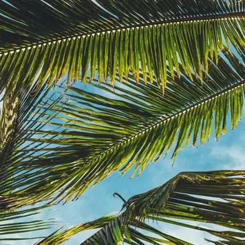 Image related to Nature Reserve