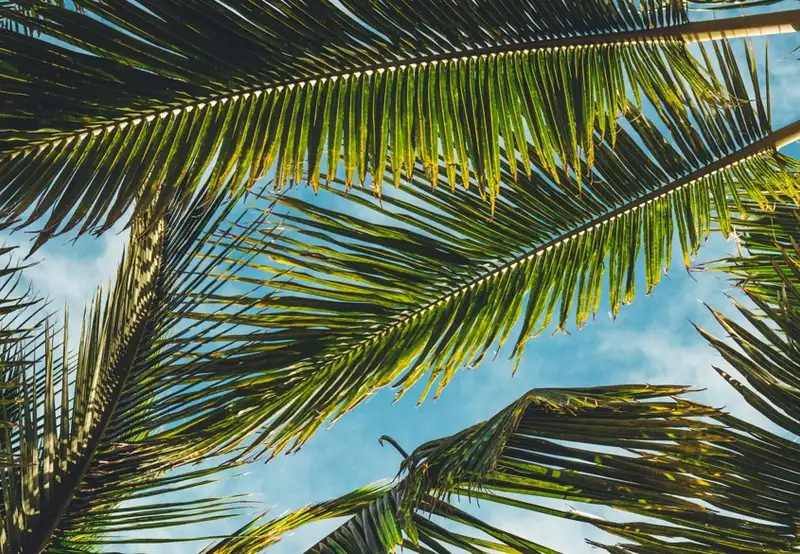 Image related to Nature Reserve