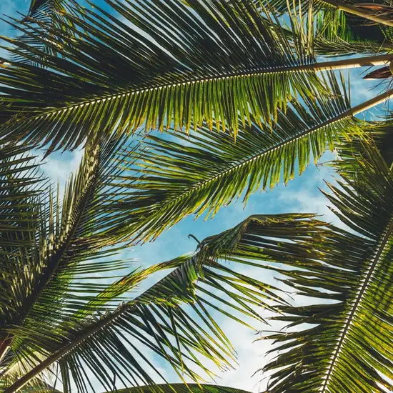 Image related to Nature Reserve