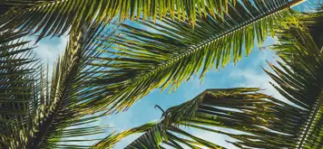 Image related to Nature Reserve