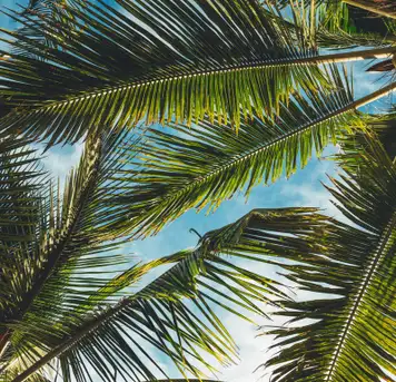 Image related to Nature Reserve