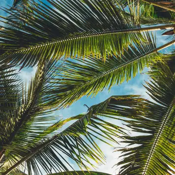 Image related to Nature Reserve