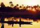 Okavango Delta, Botswana- Seasonal Mokoro Trips