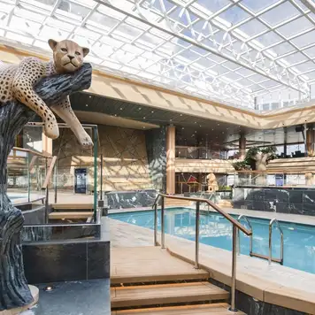 Safari Pool