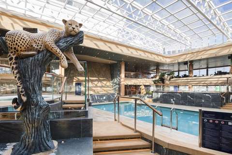 Image related to Safari Pool