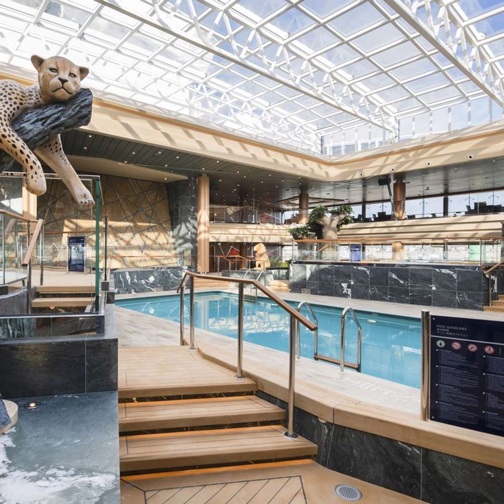 Safari Pool