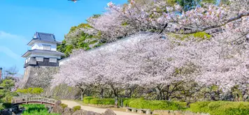 Image related to Nagasaki - Omura Koen Park, Atomic Bomb Museum & Peace Park