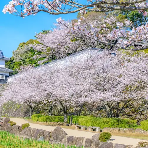 Image related to Nagasaki - Omura Koen Park, Atomic Bomb Museum & Peace Park