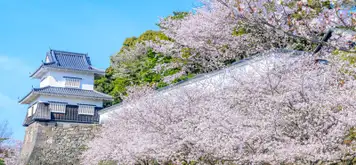 Image related to Nagasaki - Omura Koen Park, Atomic Bomb Museum & Peace Park