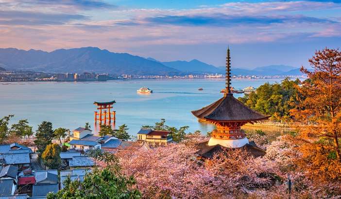 Miyajima Spring Blossoms Excursion