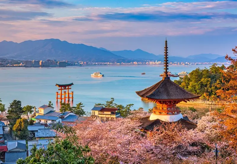 Miyajima Spring Blossoms Excursion