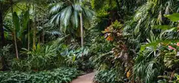 Image related to Cairns Botanic Gardens