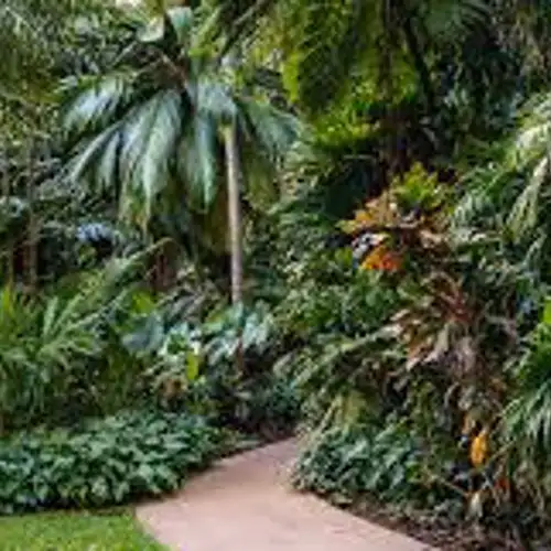 Image related to Cairns Botanic Gardens