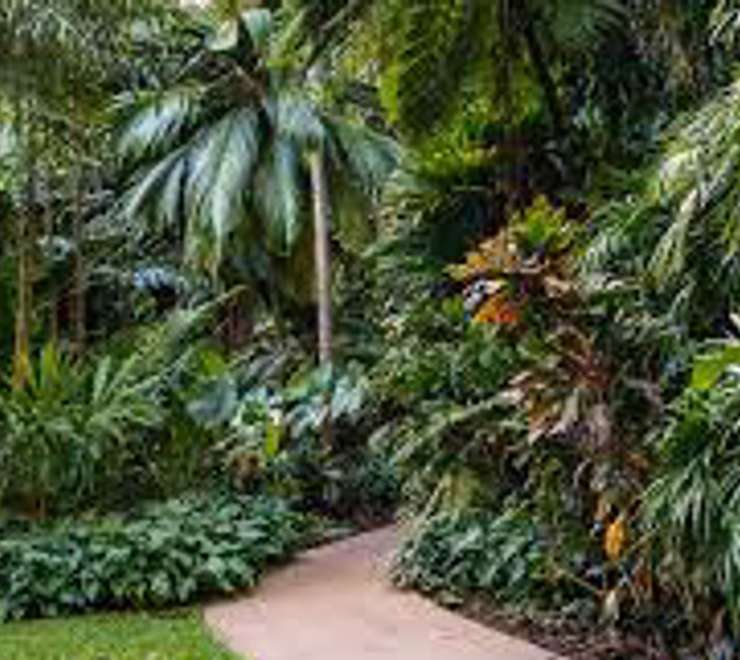 Cairns Botanic Gardens