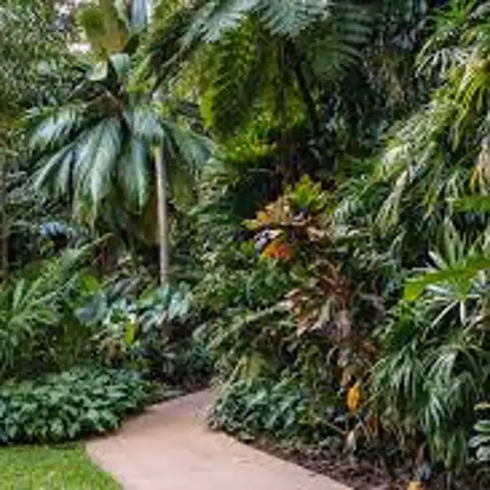 Image related to Cairns Botanic Gardens