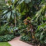 Image related to Cairns Botanic Gardens