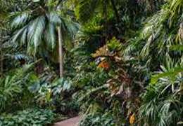 IgluCruise.Application.ViewModels.Shared.WebImageViewModel?.Description