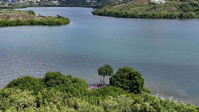 Christiansted (St. Croix)