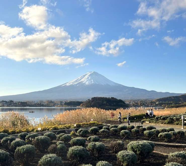 Garden Tour - Lake Kawaguchi Oishi Park