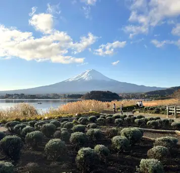 Garden Tour - Lake Kawaguchi Oishi Park