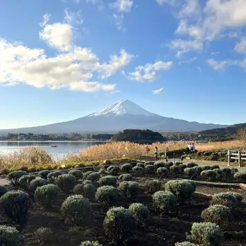 Image related to Garden Tour - Lake Kawaguchi Oishi Park