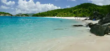 Image related to Prickly Pear