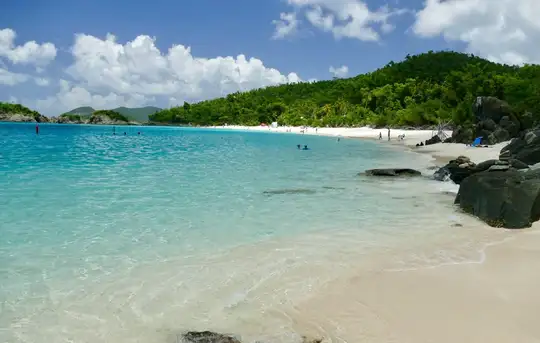 Image related to Prickly Pear