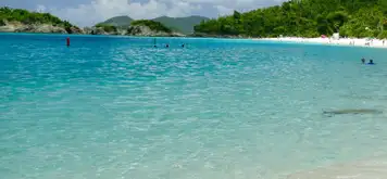 Image related to Prickly Pear