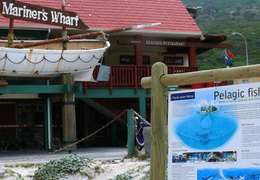 IgluCruise.Application.ViewModels.Shared.WebImageViewModel?.Description