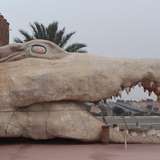 Agadir Crocodile Park Morocco