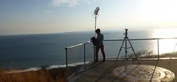 Image related to Nemaclys 