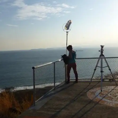 Image related to Nemaclys 