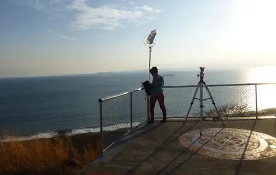 Image related to Nemaclys 