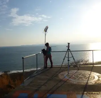 Image related to Nemaclys