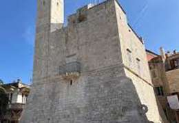 IgluCruise.Application.ViewModels.Shared.WebImageViewModel?.Description