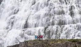 Image related to The Waterfall Hike