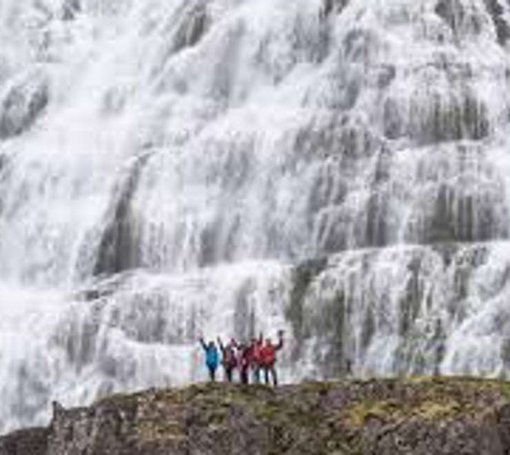 The Waterfall Hike