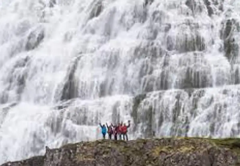 The Waterfall Hike