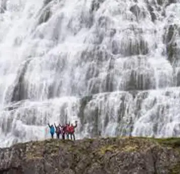 Image related to The Waterfall Hike