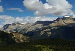 IgluCruise.Application.ViewModels.Shared.WebImageViewModel?.Description